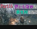 【実況】今度こそクリアするセキロ【part16】