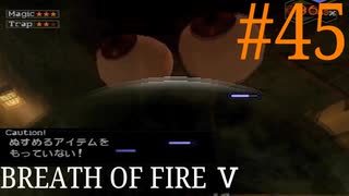 【実況】限りなく絶望に近い『ブレス5』を完全初見実況　#45