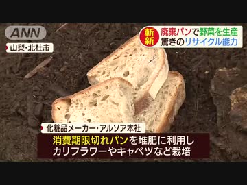 捨てられるはずのパンから野菜　廃棄食品を有効活用