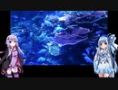 結月ゆかりとアクアリウム夜話　第18夜