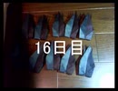 黒折り紙で千羽鶴を作っていく　16日目