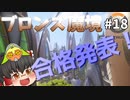 【オーバーウォッチ】シルバータンク認定試験３！ ブロンズ魔境 #018【ゆっくり実況】