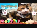【実況】ファイナルソード(笑)やろうぜ！　その１７ッ！