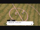 ポケモン剣の世界をゆるふわに楽しむ　#20