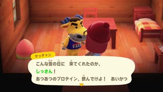 あつまれどうぶつの森 実況プレイpart111