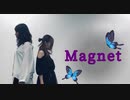 【しろくま×ぼんぼり】magnet【踊ってみた】