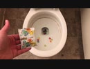 ポケモンのグミをトイレに流してみた