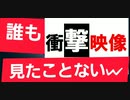 【第五人格】Q戦慄の竜巻 神回w誰も見たことない衝撃映像w【一等航海士】【バルク】【占い師】【探鉱者】【調香師】【IdentityV】【第5人格】【dbd】【45秒でなにができる？】【さとみくん推し】