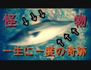 【衝撃映像！？】近所の堤防に釣りに行った結果とんでもない”怪物”が釣れた・・・【釣り初心者】