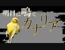 明日に鳴くカナリア / v flower