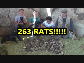 ホモと学ぶネズミスレイヤー