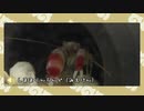 【剣盾】水族館パでワイワイバトル：15【ダブルカジュアル】
