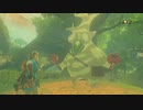 ゼルダBotw まったりプレイ　振り返り　二十五回目