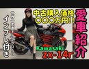 【モトブログ】zx-14rは女子でも乗れるくらいに優しいバイクです