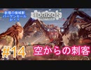 #14 【HORIZON ZERO DAWN】機械と人間とあにきょんの戦い　ゆっくり実況