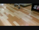 ホモと見る迷惑系YouTuber  へずまりゅう