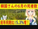 【韓国の反応】死者数が15.3％増えても韓国さんは無関心？【世界の〇〇にゅーす】