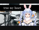 兎田ぺこらドラムでTrue My Heartを叩いてみたよ～。
