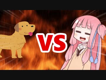 茜ちゃんVS大型犬