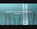 Principles of Business Level 3