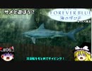 【ゆっくり実況】#06フォーエバーブルー 海の呼び声【Endless Ocean 2】ダイビングアドベンチャー