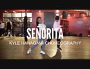 SHAWN MENDES & CAMILA CABELLO - Señorita(Reprise)   Kyle Hanagami Choreography