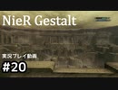 【NieR Gestalt】こんにちは狂気【part20】