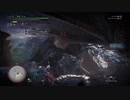 【MHWIB】笛厨ソロ‐明けの死星‐