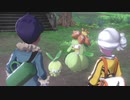 【ポケモン剣】ホップと一緒に「あるもの」を探せ！【鎧の孤島】＃９