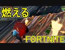 SwitchからPS4に移行した人のフォートナイト実況プレイPart29【FORTNITE】
