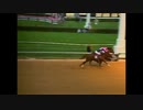 BCクラシック 歴代優勝馬 - Breeders' Cup Classic Winners (1984-2018)