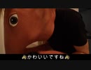 自分を馬だと信じてやまない一般男性のモーニングルーティン