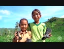 Tree Planting