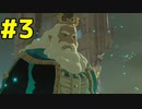 約束された絶対的神ゲーをやります【ゼルダの伝説BotW】#3