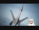 【ACE COMBAT 7】未知なる空のただ中で Part 10【VOICEROID実況】