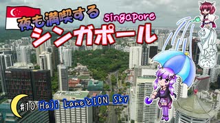 夜も満喫するシンガポール #10 「Haji Lane」と「ION Sky」