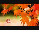 楓 アカペラ【蛍火】