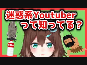 超迷惑系Youtuberとのコラボをニアミスした野良猫【字幕切り抜き】