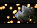 Song for your birthday