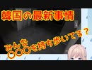 ナギお嬢様が、最新の韓国事情を教えてくれました ・・・え？これ本当ですか？