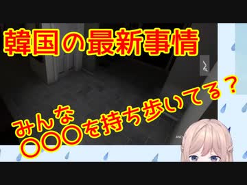 ナギお嬢様が、最新の韓国事情を教えてくれました ・・・え？これ本当ですか？