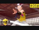 【実況】新たな冒険＊ポケモン鎧の孤島を初プレイ【part.5】