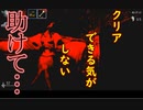【二人三脚絶叫プレイ】シャドーコリドー　影の回廊【13回目】