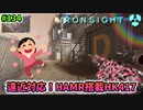 【Ironsight】遠近対応！HAMR搭載HK417（HK417） #134【アイアンサイト】【Steam 無料FPS】