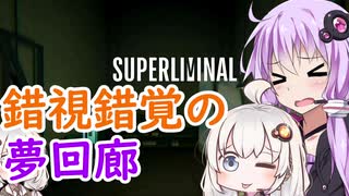 【SUPERLIMINAL】ゆづきずナンでもゲーム実況Vol.6【錯視錯覚の夢回廊】