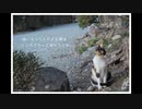 【書店員が歌ってみた】猫 ~Acoustic Version~【Kai】