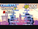 幾多の苦難を乗り越えてB面の頂を目指す[Celeste]#25