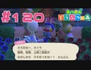 【実況】昔から筋肉の事しか考えてないモモチ #120【あつまれどうぶつの森】