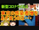 ゆっくり雑談 244回目(2020/7/18)