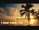 lv327072388 (2020.7.18 PM5:30放送分) BGM ~SUNSET~